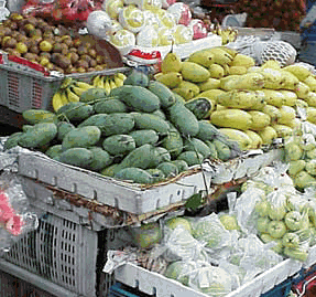 Image10.gif