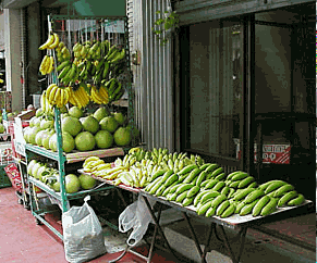 Image6.gif